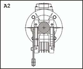 A2